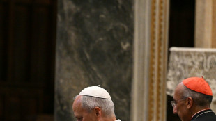 Argentina estima que la visita del papa movilizar&aacute; a siete millones de fieles