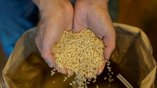 Gestiegener Preis f&uuml;r Reis in Japan: Regierung gibt Teil der Notreserve frei 