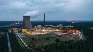 Gesamtmetall-Pr&auml;sident fordert Debatte &uuml;ber R&uuml;ckkehr zur Atomkraft