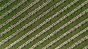 EU-Parlament beschlie&szlig;t Z&ouml;lle auf D&uuml;ngemittel aus Russland