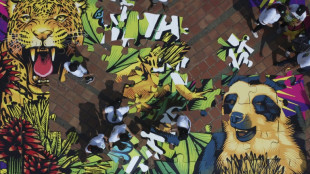 COP16: Greenpeace alerte sur le lien entre crise climatique et menaces sur la biodiversit&eacute;