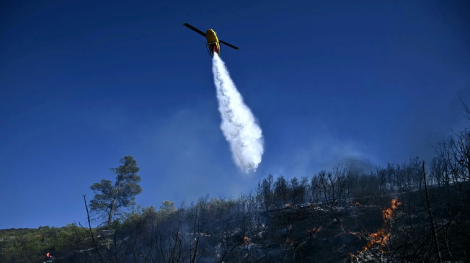 Evacuaciones y casas da&ntilde;adas por un violento incendio forestal cerca de Atenas