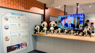 Hong Kong usa pandas y a Trump para dar lecciones de seguridad nacional