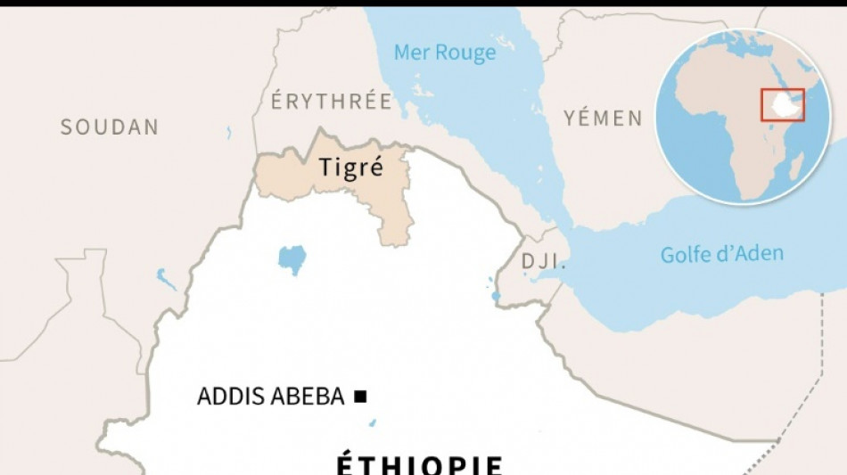 Ethiopie: 10 morts dans deux frappes aériennes sur la capitale de la région rebelle du Tigré