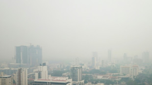 Inc&ecirc;ndios florestais deixam cidade mais populosa da Bol&iacute;via na escurid&atilde;o