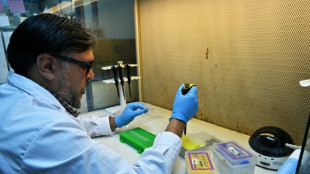 La grippe aviaire menace la faune de l'Antarctique 