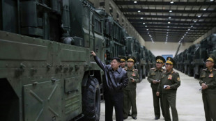 Kim's sister denies N. Korea exporting weapons to Russia