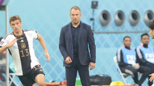 DFB-Elf testet gegen Peru und Belgien