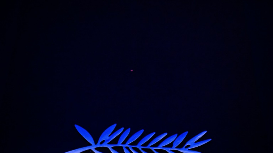 Le 78e Festival de Cannes d&eacute;voile sa s&eacute;lection officielle