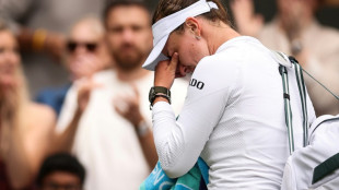 Wimbledon: Krejcikova et Rybakina, deux championnes au tapis