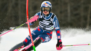 Ski alpin: Ljutic, imp&eacute;riale, survole le slalom de Kranjska Gora