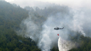 Los bomberos controlan un enorme incendio en el mayor pinar del Líbano
