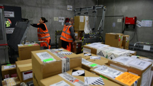 Miauen in Paketshop: Frau in Bayern gibt versehentlich Päckchen mit Katze auf