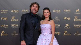 "Made in Spain": el &eacute;xito internacional del cine espa&ntilde;ol