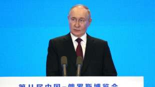 Putin wirbt bei Besuch in China für engere Wirtschaftsbeziehungen zu Peking