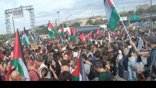 Sciopero pro Pal: in tremila a Varco porto di Trieste