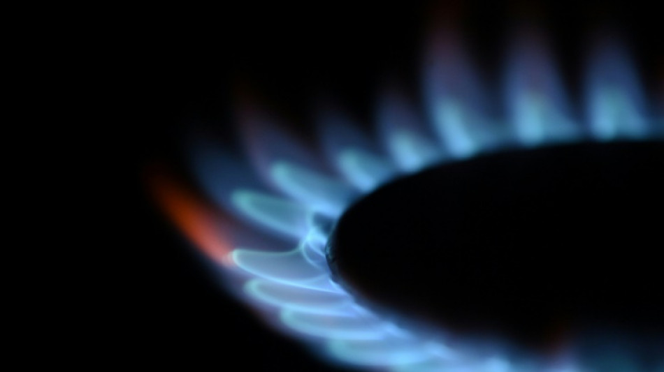 Franz&ouml;sischer Gasnetzbetreiber baut Exportm&ouml;glichkeiten nach Deutschland aus