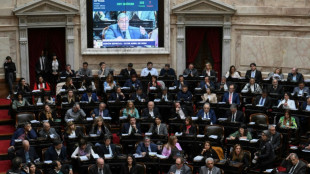 El Congreso argentino debate un crucial paquete de reformas de Milei