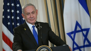 Netanyahu dice que Israel logr&oacute; "enormes victorias", pero que "la lucha no ha terminado"