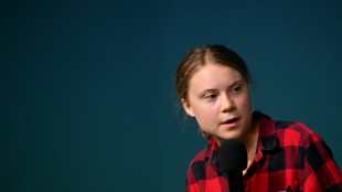 Thunberg sagt Auftritt bei Literaturfestival wegen Kritik an Sponsor ab