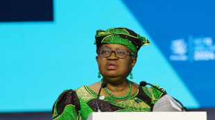 WTO-Chefin ruft Teilnehmer von Ministerkonferenz zu Geschlossenheit auf 