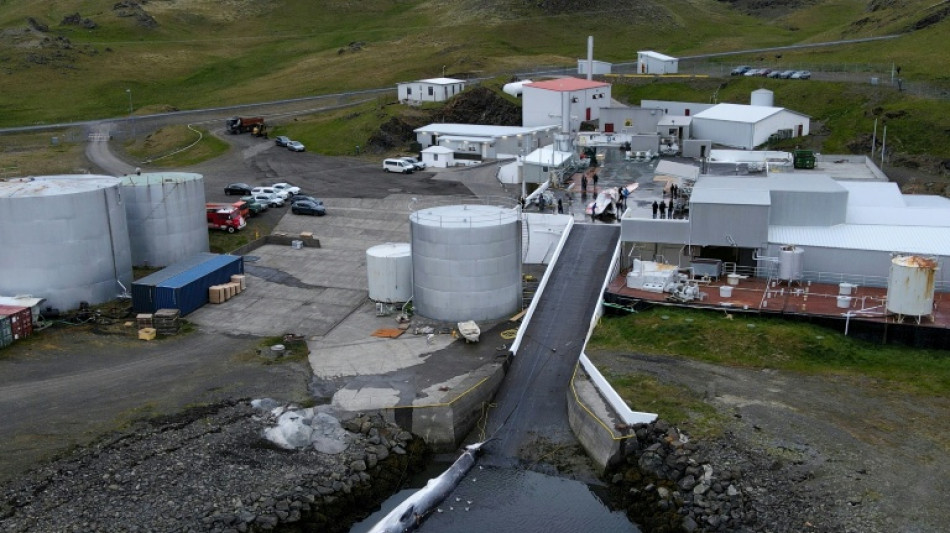Letztes Walfangunternehmen Islands k&uuml;ndigt Klage gegen m&ouml;gliches Verbot an 