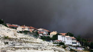 Des incendies font rage dans le sud, les flammes atteignent Marseille