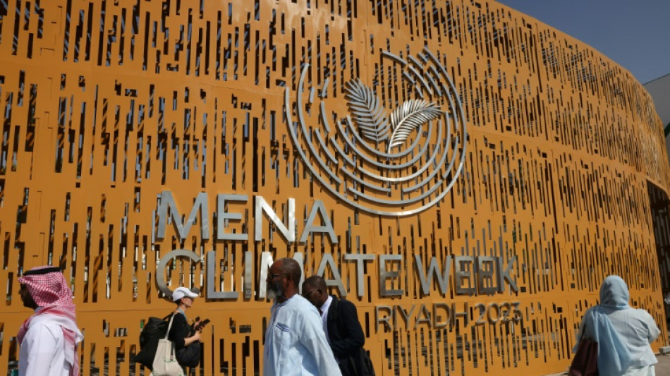 El mundo no puede "desconectar" el sistema energ&eacute;tico actual, seg&uacute;n presidente de COP28