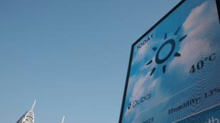 La moiti&eacute; de l'humanit&eacute; a subi un mois suppl&eacute;mentaire de canicule &agrave; cause du r&eacute;chauffement (&eacute;tude)