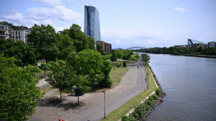 ECB expected to hold rates as more Trump tariffs loom