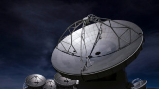 El mayor radiotelescopio del mundo busca duplicar capacidad de observaci&oacute;n para 2030