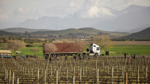 Les fermiers sud-africains si chers &agrave; Trump, premi&egrave;res victimes de ses taxes douani&egrave;res