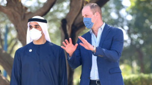 Prinz William absolviert Besuch in den Emiraten mit Schwerpunkt Klimaschutz