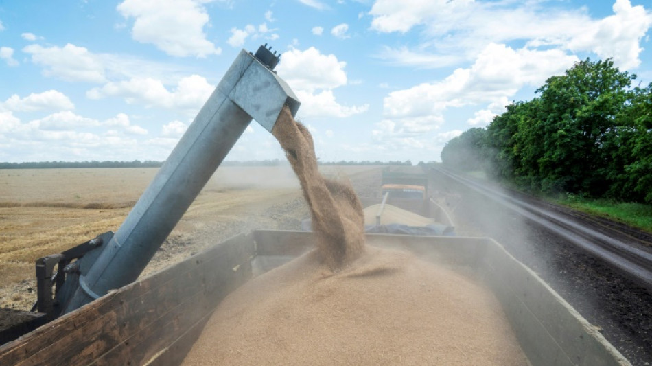 Sortir les c&eacute;r&eacute;ales d'Ukraine: une &eacute;quation complexe