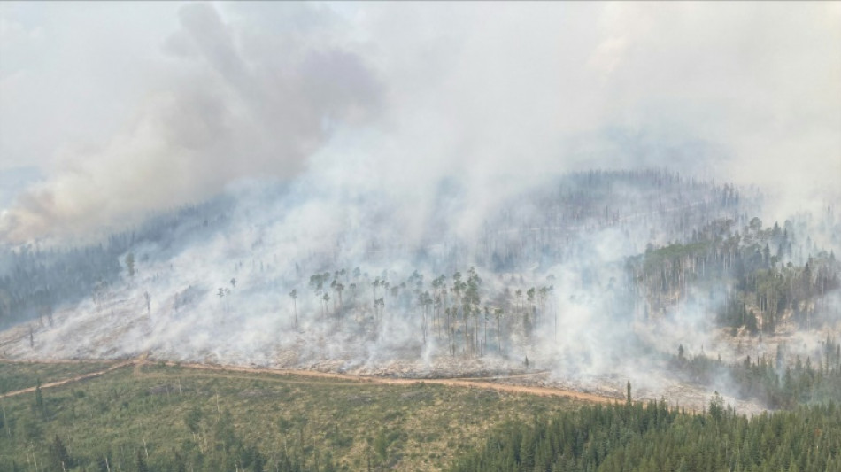 Bereits zehn Millionen Hektar Fl&auml;che durch Waldbr&auml;nde in Kanada verbrannt