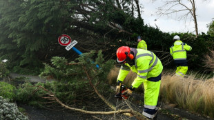 Las aseguradoras estiman en 1.300 millones de euros los da&ntilde;os en Francia por las tormentas