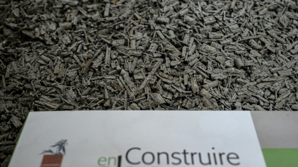 Chanvre: l'agriculture &agrave; la rescousse de la d&eacute;carbonation de la construction