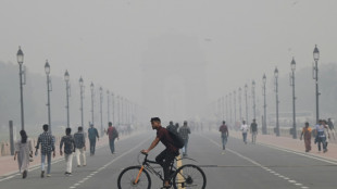 Schools shut as toxic smog engulfs India's capital