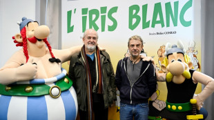 Beeren statt Wildschwein: Asterix und Obelix legen sich mit Achtsamkeits-Guru an