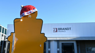 Brandt : pr&egrave;s de la moiti&eacute; des salari&eacute;s des usines ont retrouv&eacute; un emploi