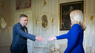 Pro-russischer Politiker Fico mit Regierungsbildung in der Slowakei betraut