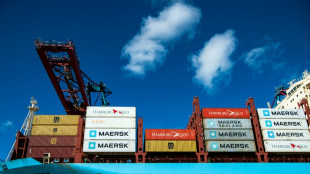 Maersk: Huthi-Angriffe im Roten Meer führen zu Gewinnrückgang - Preise ziehen an