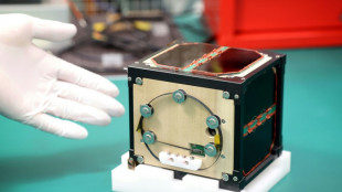 Científicos japoneses construyen el primer satélite de madera del mundo