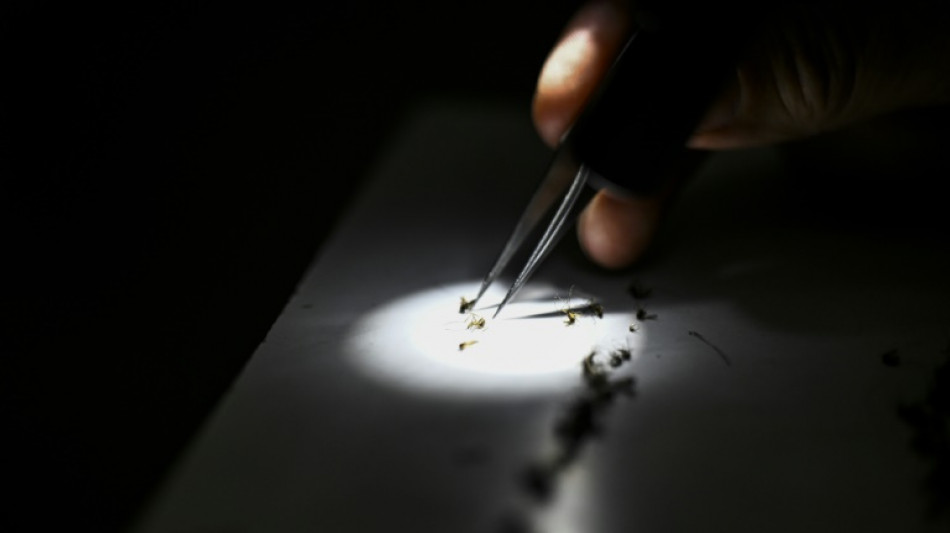 Un patient d&eacute;c&egrave;de aux Etats-Unis d'une rare maladie transmise par le moustique