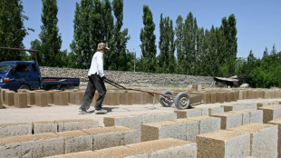 Kirguist&aacute;n impulsa la construcci&oacute;n de casas de arroz, una alternativa ecol&oacute;gica al hormig&oacute;n