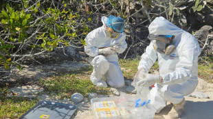 Behörden bestätigen Vogelgrippe-Verdacht auf Galápagos-Inseln vor Ecuador