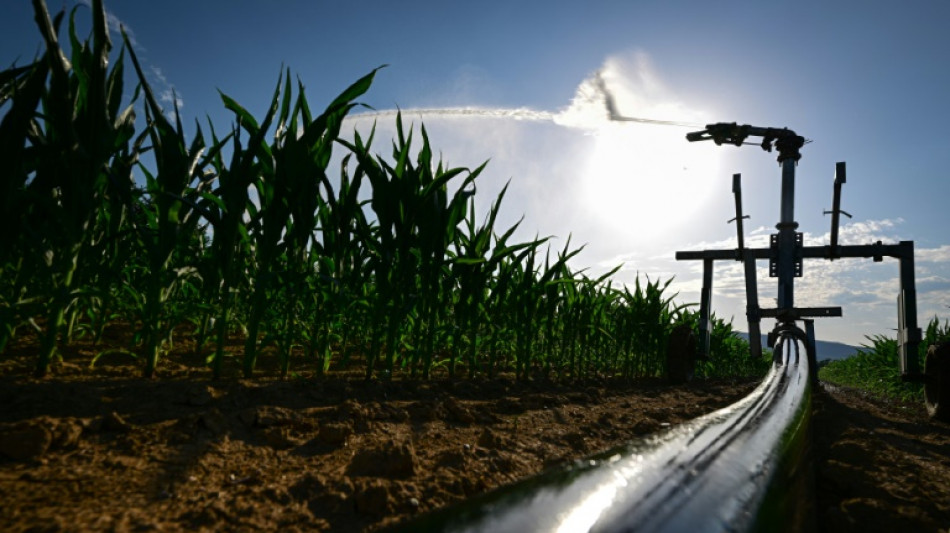 France, Espagne, Italie... s&eacute;cheresse et canicule dans le sud de l'Europe