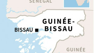 Bissau: tirs nourris dans le secteur du palais du gouvernement (correspondants AFP)