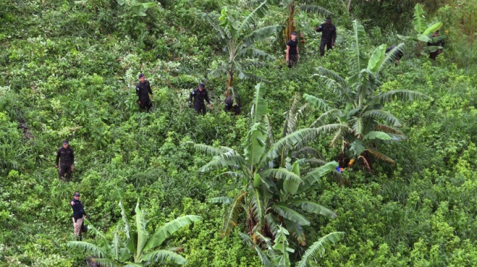 Le Honduras, point de transit de la cocaïne, en passe de devenir producteur