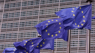 Belgio, 'su uso asset russi nostra posizione non cambia, i rischi restano'